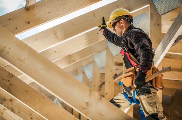 Best Roof Gutter Cleaning  in Sunray, TX