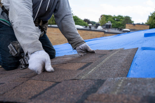 Best Roof Gutter Cleaning  in Sunray, TX