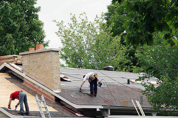 Best Gutter Installation and Roofing  in Sunray, TX